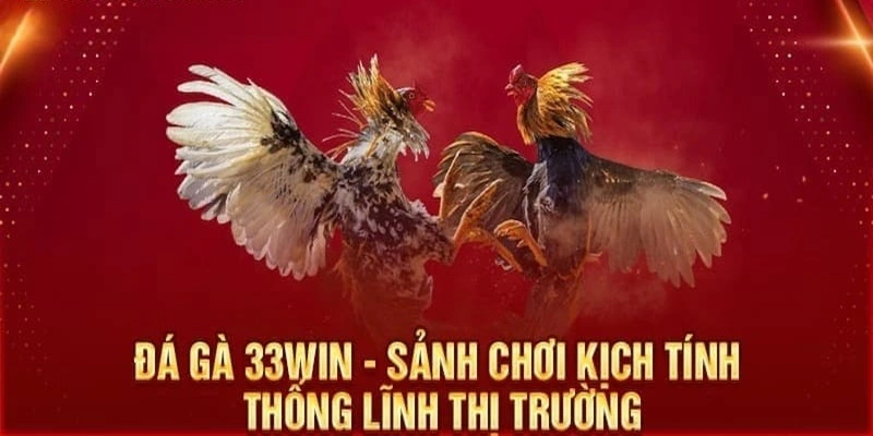 Giới thiệu tổng quan về sảnh chọi gà 33Win