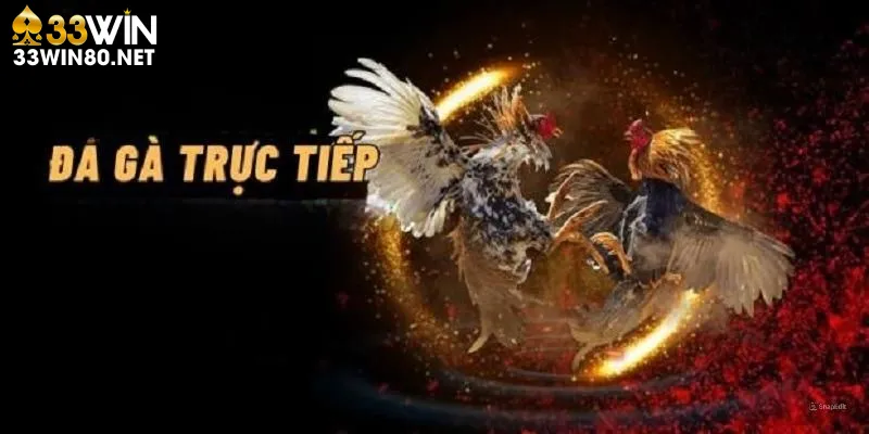 Truy cập trực tiếp đá gà Mộc Bài 33Win chi tiết